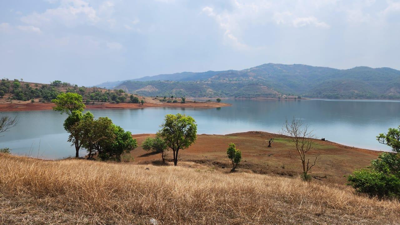 RiverHouseFarms Smart Corner Properties