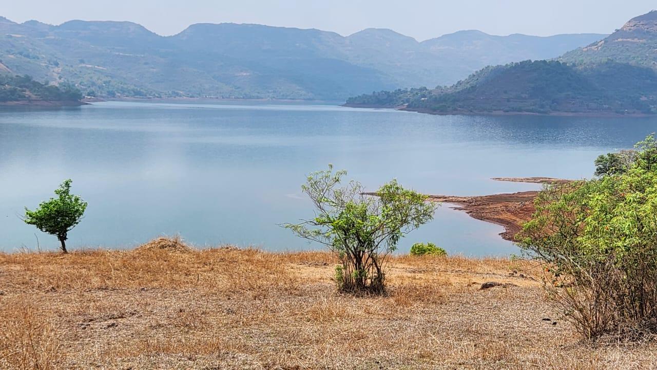 RiverHouseFarms Smart Corner Properties